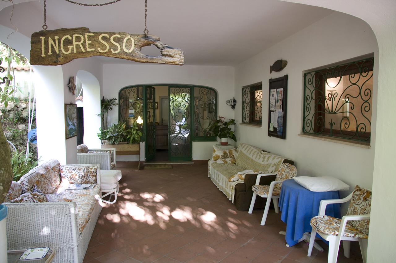 Hotel Giardino Degli Ulivi Сан-Феліче-Чирчео Екстер'єр фото